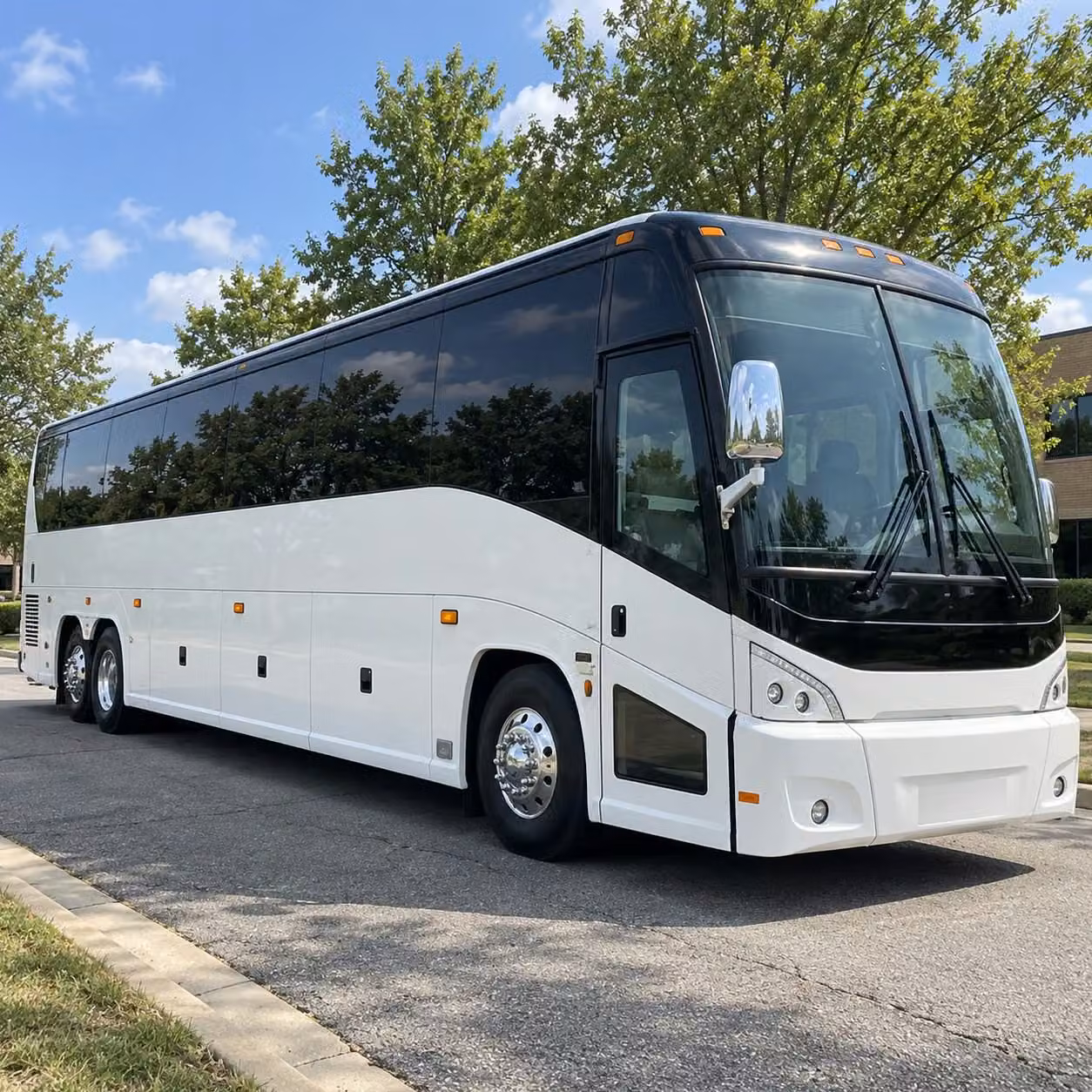 school group transportation to stepping stones yale peabody museum and beyond